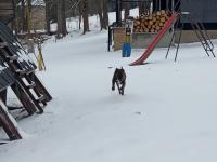 IMG_20240120_102858 (1024x768).jpg